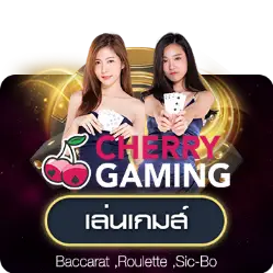 บาคาร่า (165)